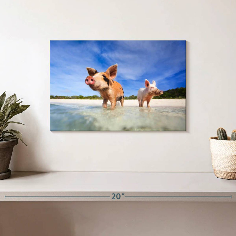 Crowle Pigs On Exumas Islands, 8" H x 12" W