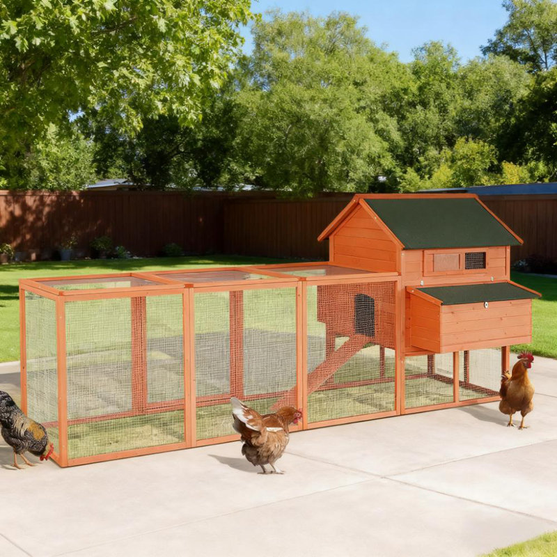 Cage à poules verrouillable