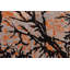 Tapis unique noir / orange / ivoire 6 pi x 8 pi 9 po Dortly