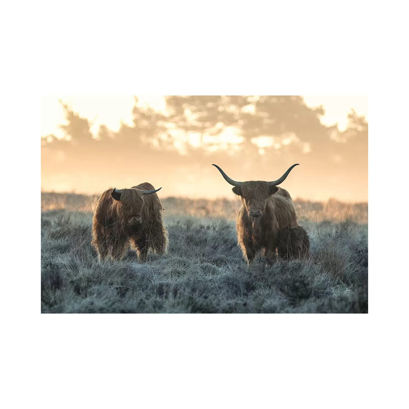 Three Highlanders by Jaap Van Den - Wrapped Canvas Gallery-Wrapped Canvas Giclée, 20.32cm H x 30.48cm W