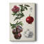 «Pomegranate Composition II», peinture sur toile tendue-2123819350