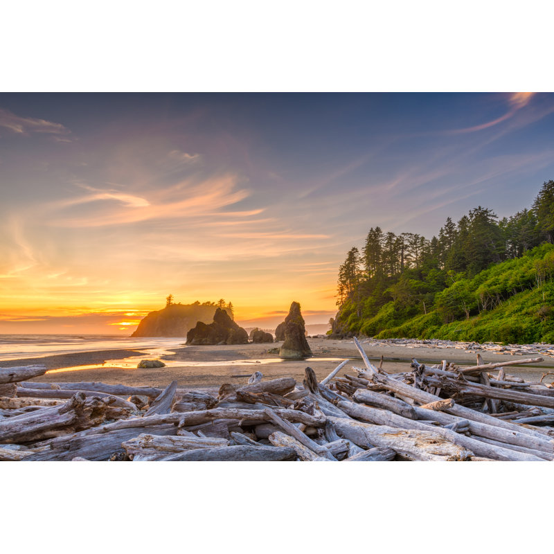 Parc national olympique, Washington, États-Unis par Sean Pavone, H 8 po x l 12 po x P 1,25 po