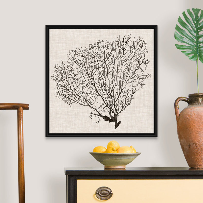 Art mural sur toile Shadow Sea Fan IV, H 26 po x l 26 po x P 2 po, Cadre noir