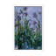 Purple Irises, 1914-17 by Claude Monet - Painting on Canvas-1374345607-1374345604
