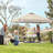 Pop Up Canopies 10 Ft. W x 10 FT. D Metal Party Tent Canopy-96265665