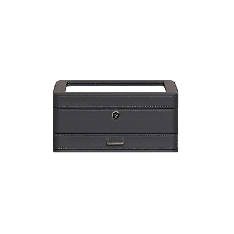 Watch Box +