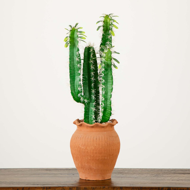 28in. Artificial Cactus in Terracotta Planter