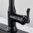 FURUISI Pull Down Single Handle Kitchen Faucet with Deck Plate-100865080