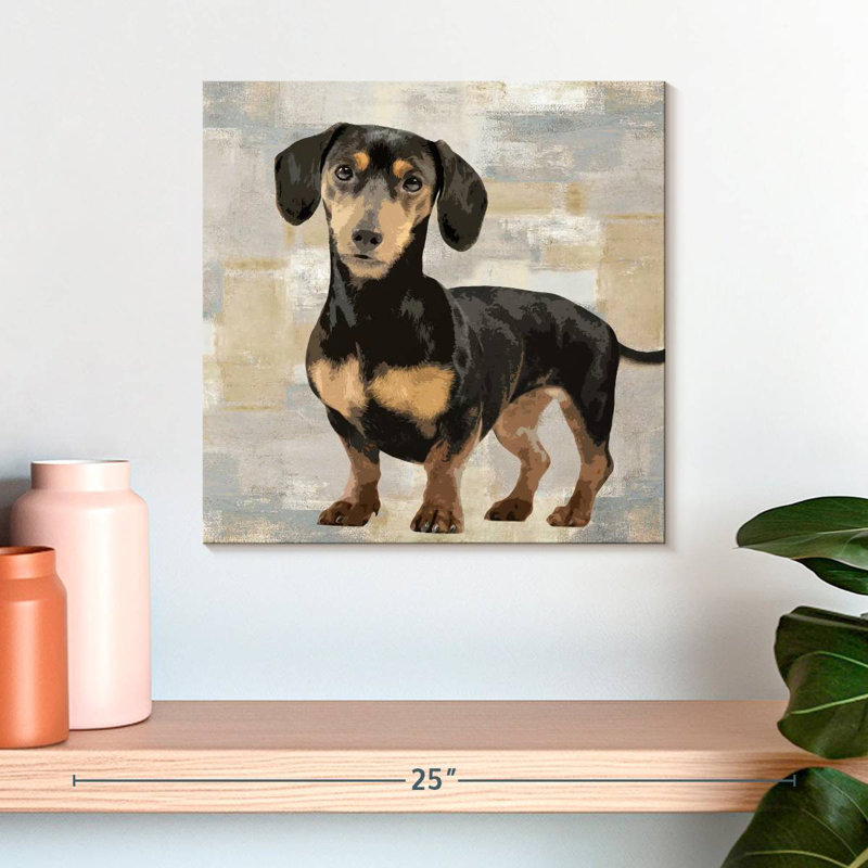 Portrait de teckel Brampt, H 16 po x l 16 po