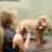 Fido Fave Low Noise Rechargeable Cordless Electric Quiet Pet Hair Clippers & Paw Trimmer Set