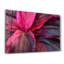 Decorative Tempered Glass Painting