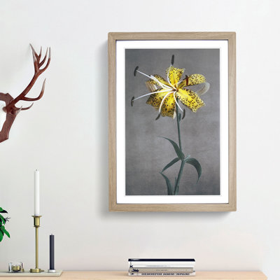 Yellow Lily by Kazumasa Ogawa - Picture Frame Painting Print