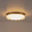 Modern Glass Drum Led Flush Mount