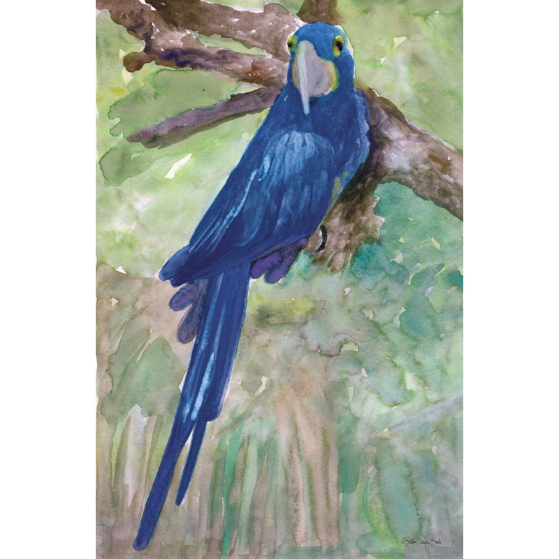" Blue Parrot " by Stellar Design Studio, 12" H x 8" W, White Single Picture Framed Paper with Mat