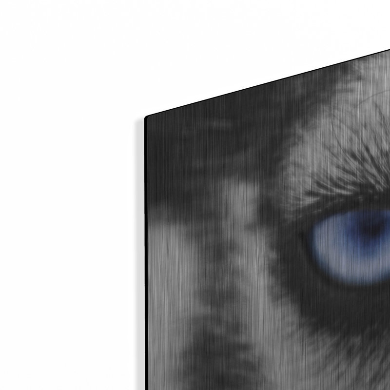 «Husky» par PhotoINC Studio, H 12 po x l 36 po