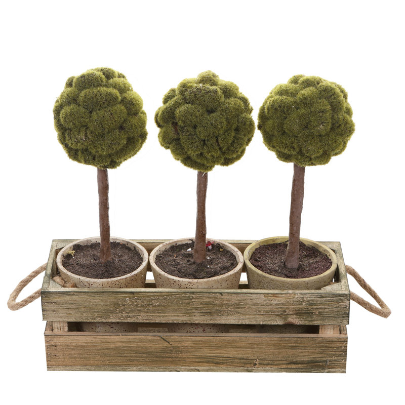 Moss Tree in Wood Basket
