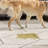 BISSELL Pet Pro Oxy Stain Destroyer 2pk