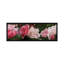Gros plan de roses roses et blanches par Panoramic Images - Reproduction de giclée sur toile tendue avec châssis-32791225-72156832