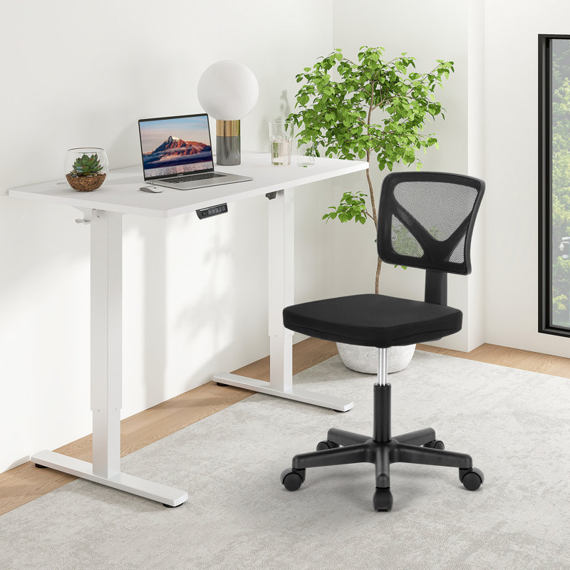 Office Set: Mesh Office Chair And Electric Standing Desk, Black/White