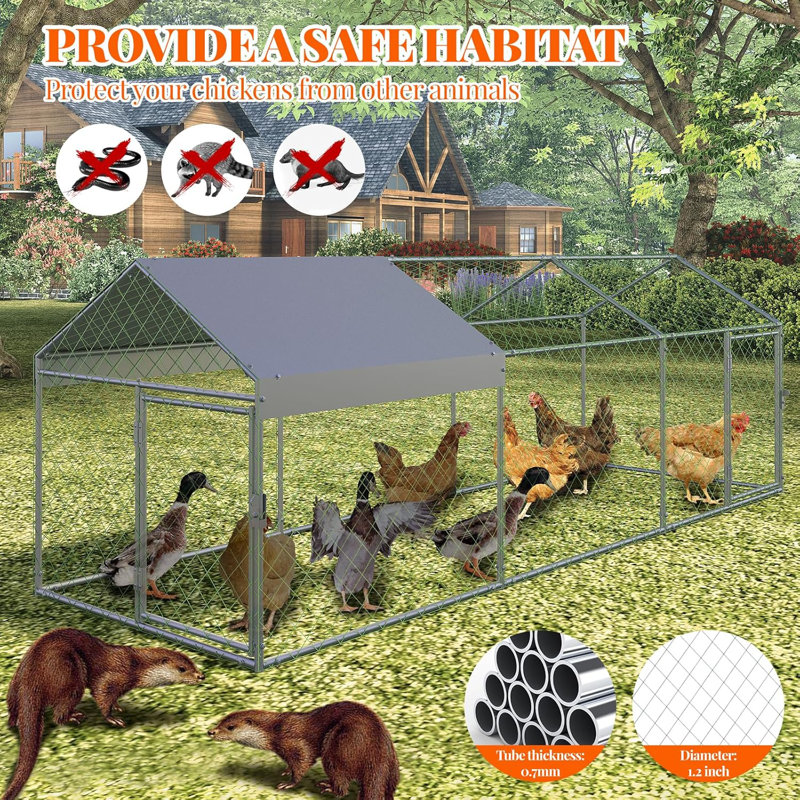 Grand poulailler en métal, enclos imperméable pour la cour de 10 pi x 40 po, cloche portative pour poulet, lapin, canard