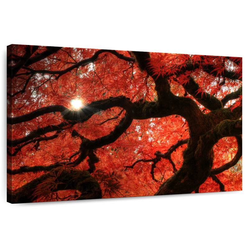 Harnek Red Maple Tree, 8" H x 12" W