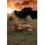 Chesapeake Outdoor Teak Dining Armchair