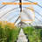 Greenhouse Shade Cloth and Cover-65492354