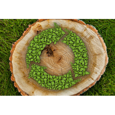 " Tree Stump " by Wasja