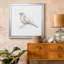 «Robin Bird S Croquis II», reproduction d'art sur toile-24432817-24432780