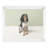 4Pcs Acrylic Wall Mounted Picture Frames