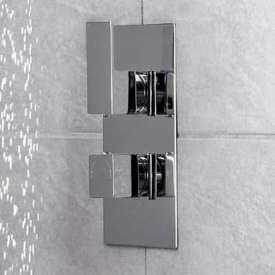 Art Double Concealed Thermostatic Shower Valve