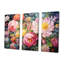 Fleurs roses printanières - fleurs sauvages-19706587-19706588