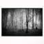 «Beautiful Forest Morning Panorama», photographie encadrée sur toile-26694678