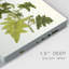 Olive Greenery VI - peinture sur toile tendue-707727932