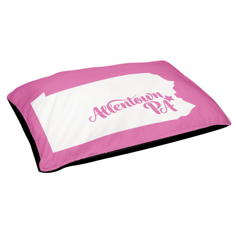 Coussin stylisé allentown de pennsylvanie, Moyen (L 30 po x l 40 po), Rose