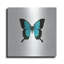 «Blue Butterfly» par PhotoINC Studio-1144051264