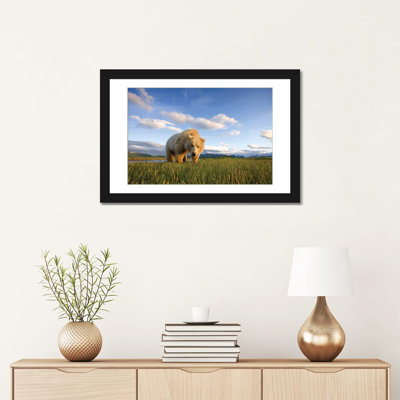 «Blonde Grizzly Bear Near Hallo Bay, Katmai National Park, Alaska, USA», impression sur toile