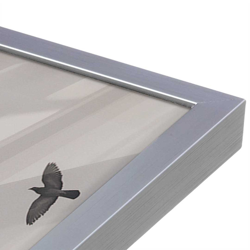 «Flock II» par Nathan Larson, reproduction d'art, H 12 po x l 18 po, Argent argent