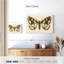 Brampt natures papillon IV-108136124