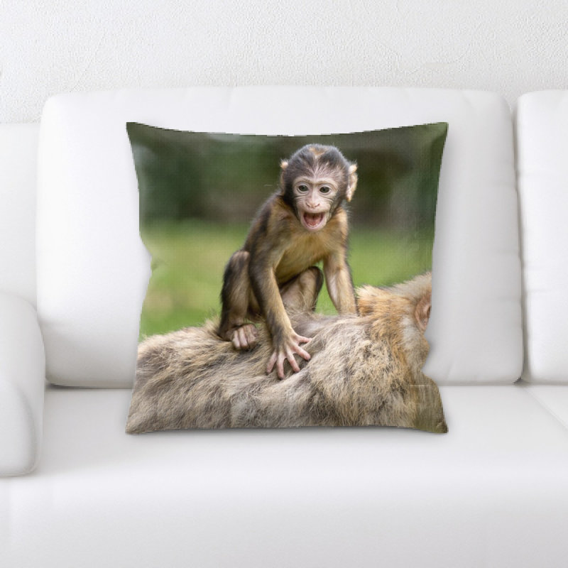 Coussin ape