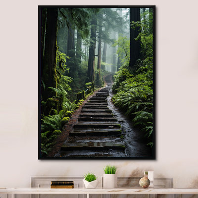 «USA Muir Woods National Monument I», reproduction d'art sur toile