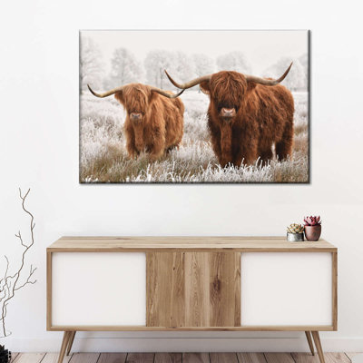 «Hairy Scottish Highland Cows», reproduction sur toile