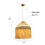 Luminaire suspendu campagnard moderne 1 lumière Cogmon