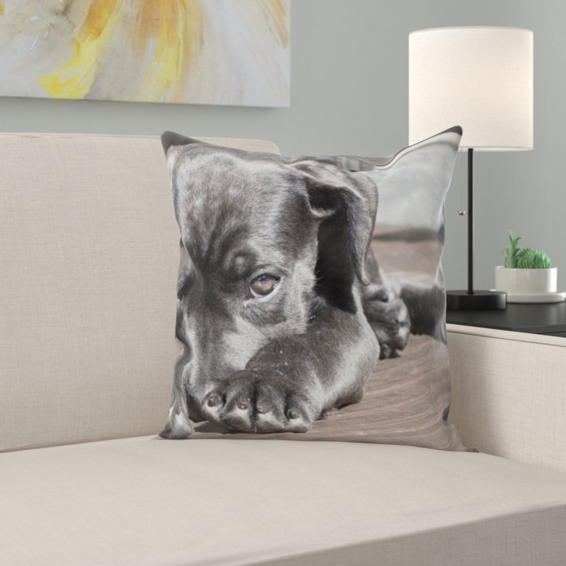 Coussin pour animaux