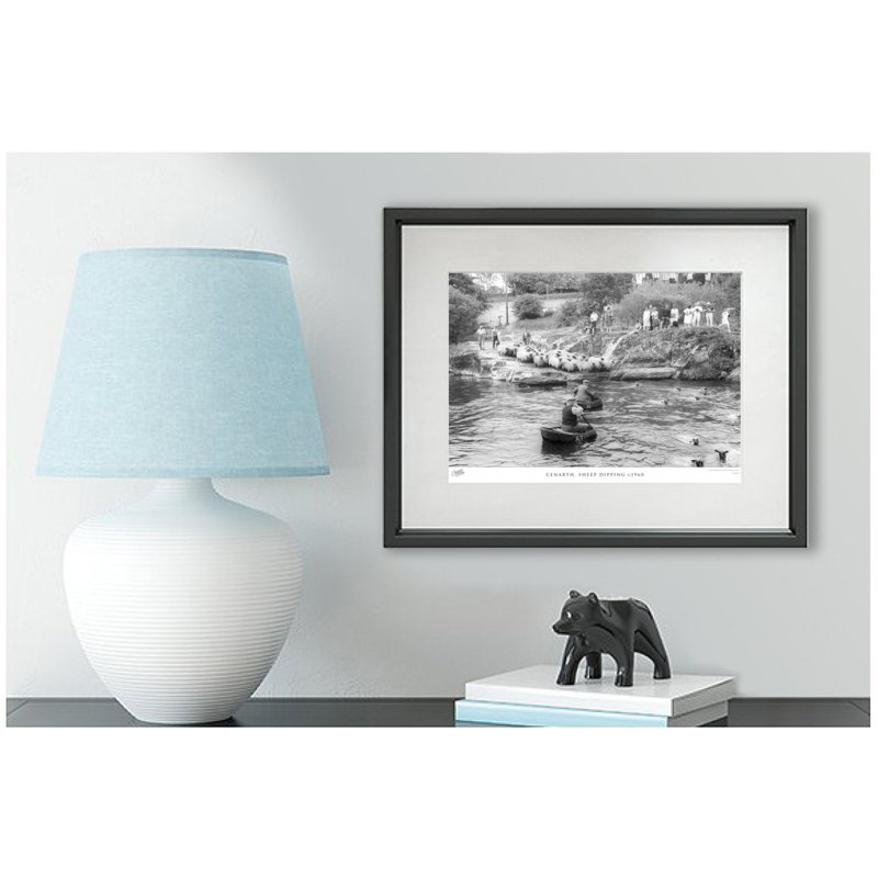 Cenarth, Sheep Dipping C1960 by Francis Frith - Single Picture Frame Print, 28cm H x 36cm W x 2.3cm D