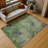 Machine Washable Indoor/Outdoor Emelia ACN2312 Abstract Rug-446505838