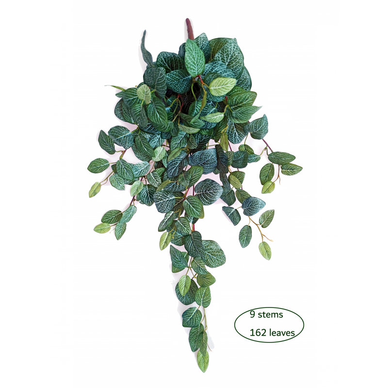 Buisson suspendu Real Touch Fittonia, H 34 po x l 20 po x P 4 po