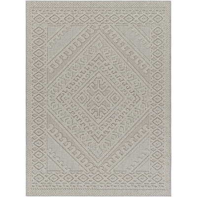 Abidemi Oriental Indoor / Outdoor Rug