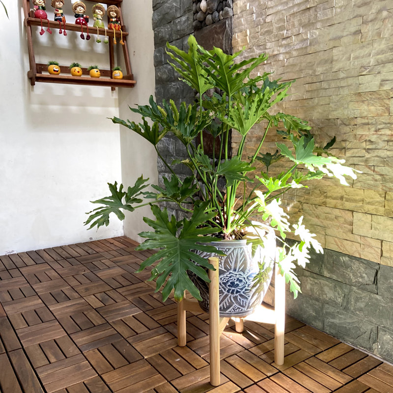 Support pour plante Akea, Naturel, H 14 po x l 14 po x P 14 po