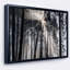 «Sunbeam Through Black White Forest», photographie-35125691-35125693